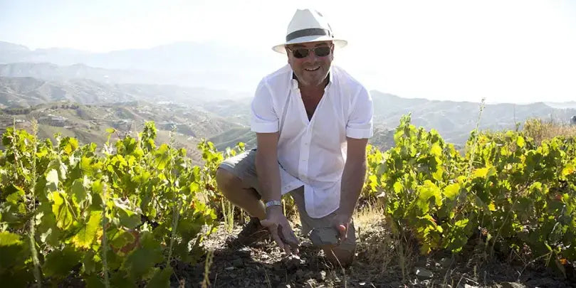 Jorge Ordóñez im Weinberg von Botani Moscatel Seco Malaga DO, prüft die Reben in malerischer Landschaft.
