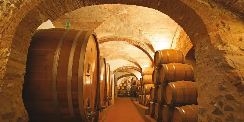Castello di Gabbiano: Weinkeller mit großen Holzfässern in traditioneller Chianti-Umgebung.