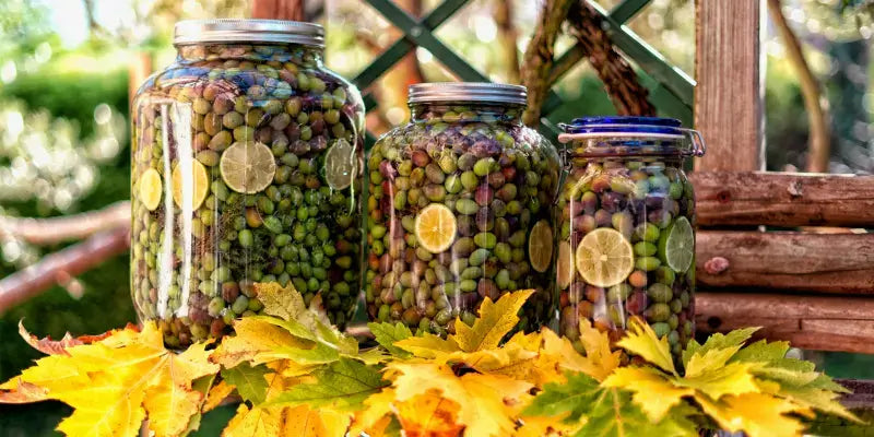Eingelegte grüne Oliven in Gläsern, dekoriert mit Limettenscheiben und umgeben von herbstlichen Blättern.