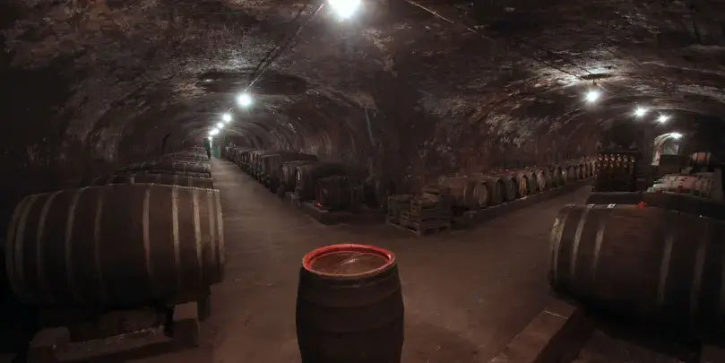 Spätburgunder Gutswein VDP: Gewölbekeller mit Holzfässern im Weingut J. Neus, Rheinhessen.