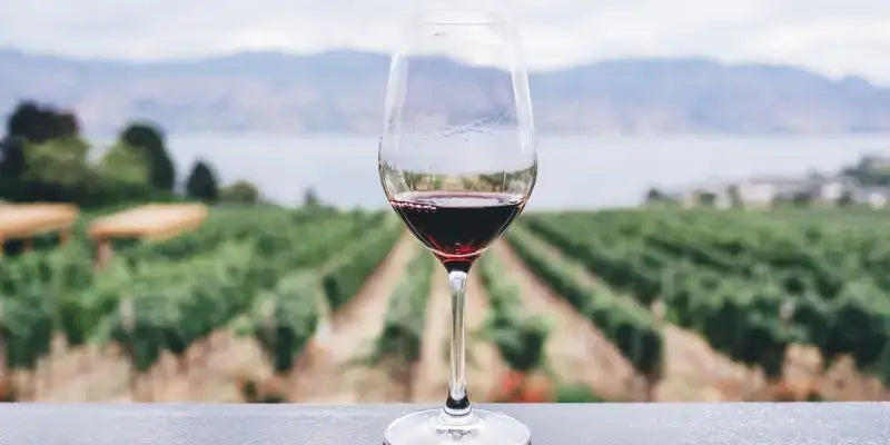 Biologisch-dynamischer Weinbau: Glas roten Weins vor Weinberg mit Landschaft im Hintergrund.