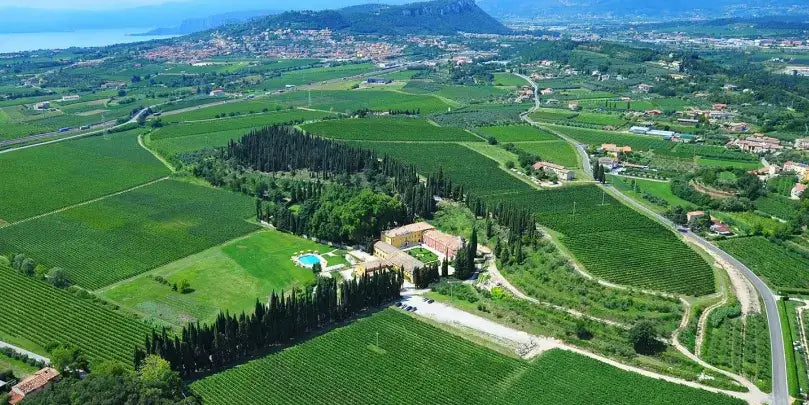 Vigneti Villabella: Weingut in der Landschaft des Bardolino mit Weinbergen und Olivenhainen.