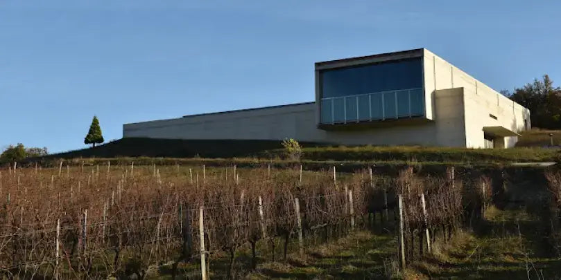Tandem Weingut in Navarra, moderne Architektur umgeben von Weinreben auf sanften Hügeln.