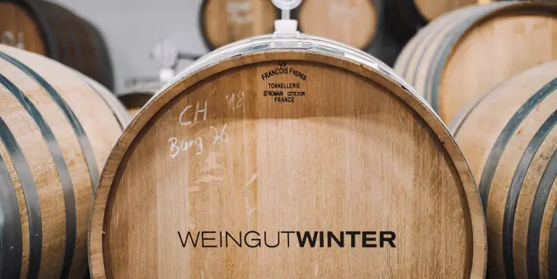 Weingut Winter Fasslager mit Eichenfässern für Kloppberg Riesling - Großes Gewächs VDP.