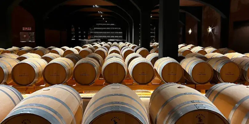 Crianza Rioja DOCa, Fässerlager mit Eichenfässern in einem Weinkeller von Ramon Bilbao.