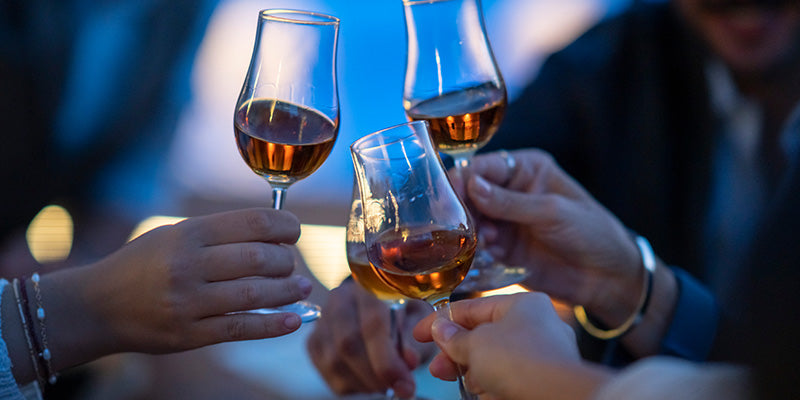 gid://shopify/MediaImage/23529602154701