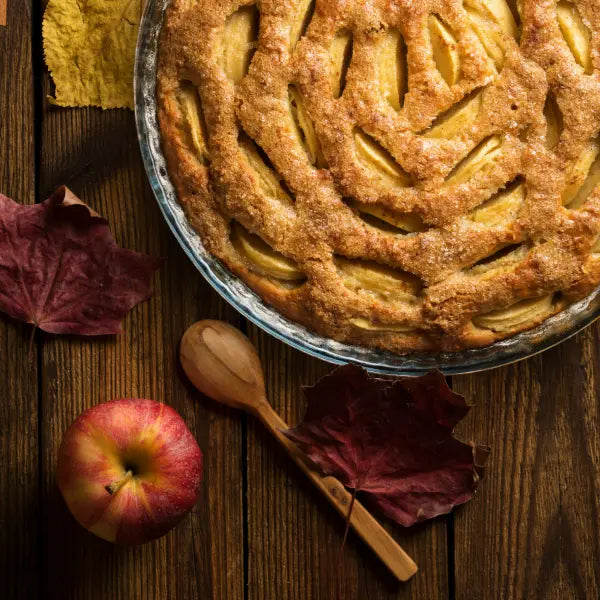 gid://shopify/MediaImage/53258211262807