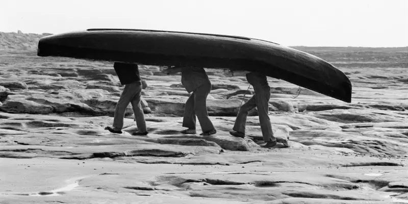 gid://shopify/MediaImage/44835546431831