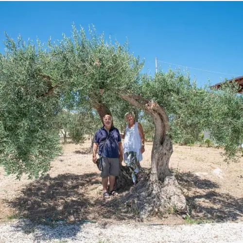 gid://shopify/MediaImage/44658702680407