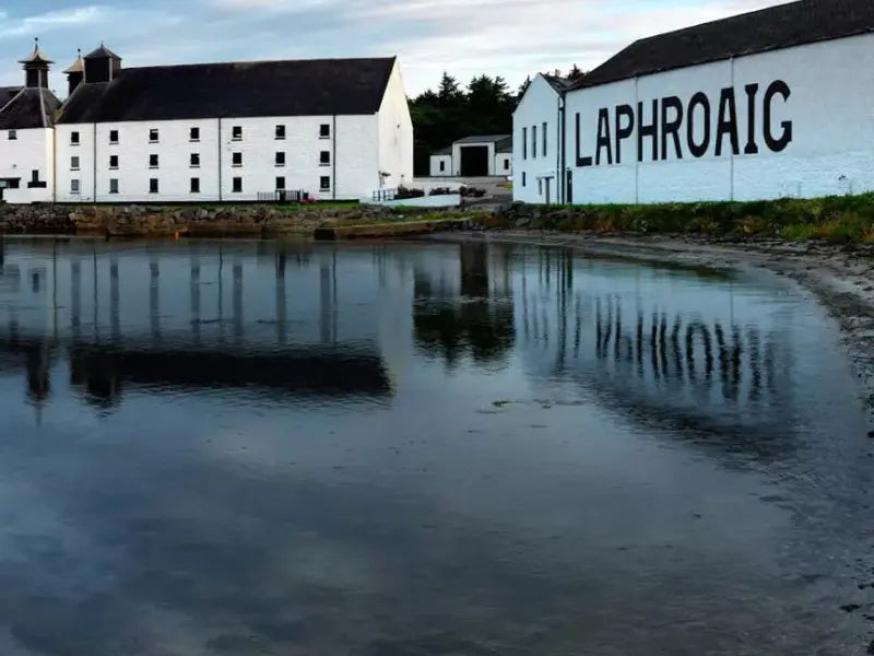 gid://shopify/MediaImage/46660915593559