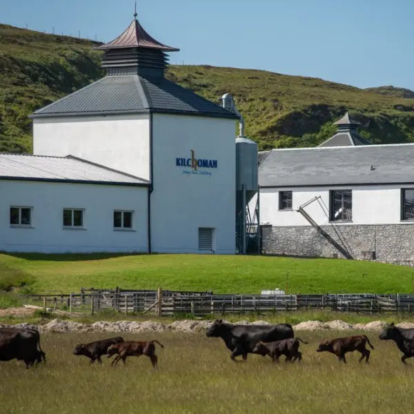 gid://shopify/MediaImage/46659262644567