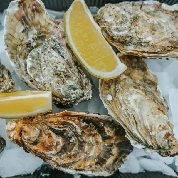 gid://shopify/MediaImage/50922095214935