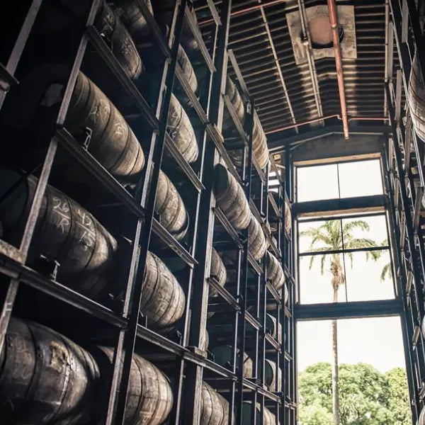 gid://shopify/MediaImage/48512615154007