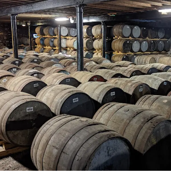 gid://shopify/MediaImage/44846789558615