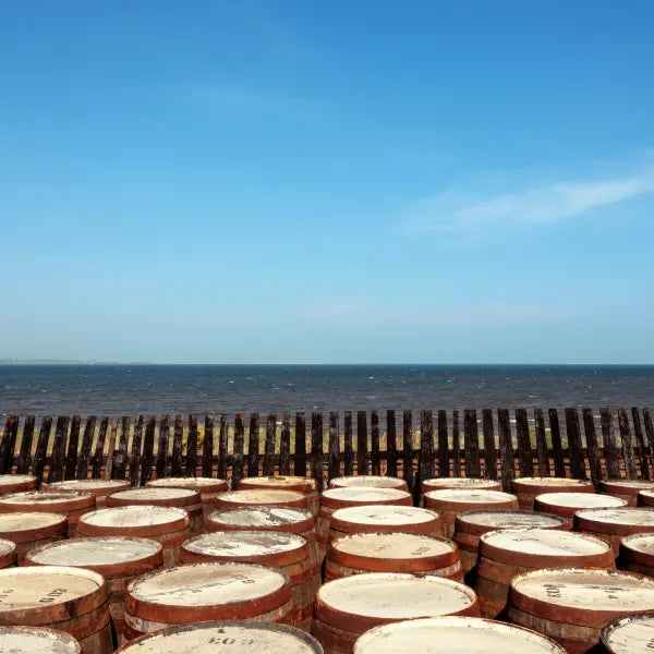 gid://shopify/MediaImage/44903008108887