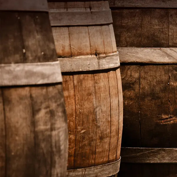 gid://shopify/MediaImage/44800322568535