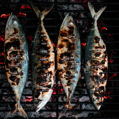 gegrillter Fisch