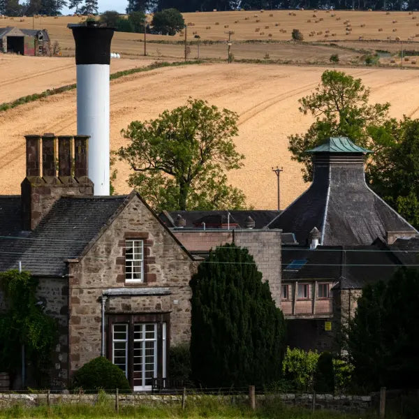 gid://shopify/MediaImage/44881307140439