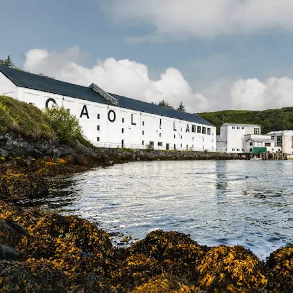 gid://shopify/MediaImage/44835288449367