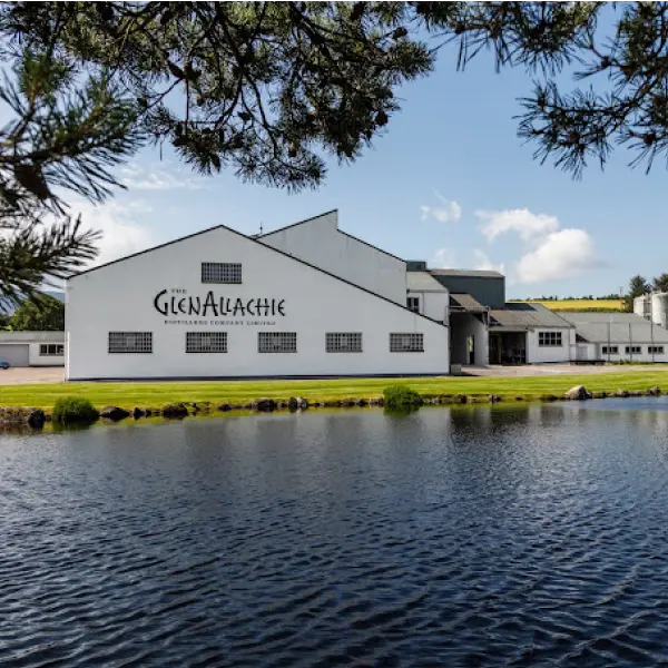 gid://shopify/MediaImage/44880738353495