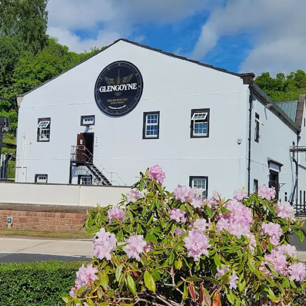 gid://shopify/MediaImage/44897312375127