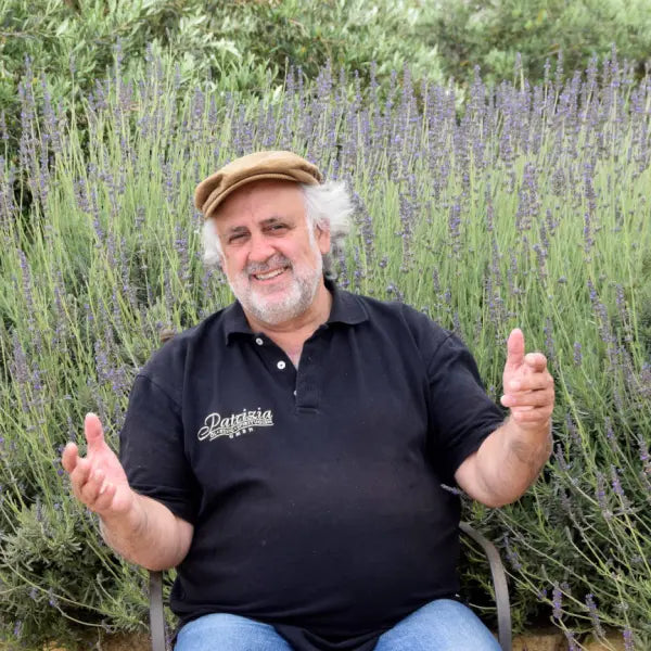 gid://shopify/MediaImage/44658532254039