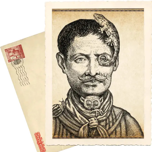 gid://shopify/MediaImage/45327260352855