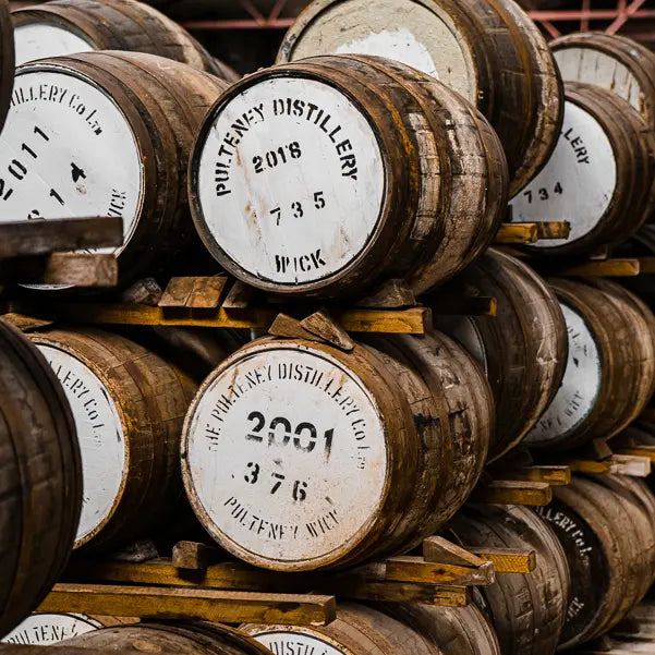 gid://shopify/MediaImage/46939612840279