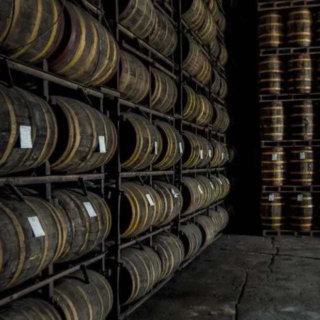 gid://shopify/MediaImage/51199857361239