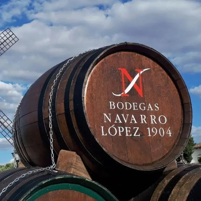 gid://shopify/MediaImage/51040207929687