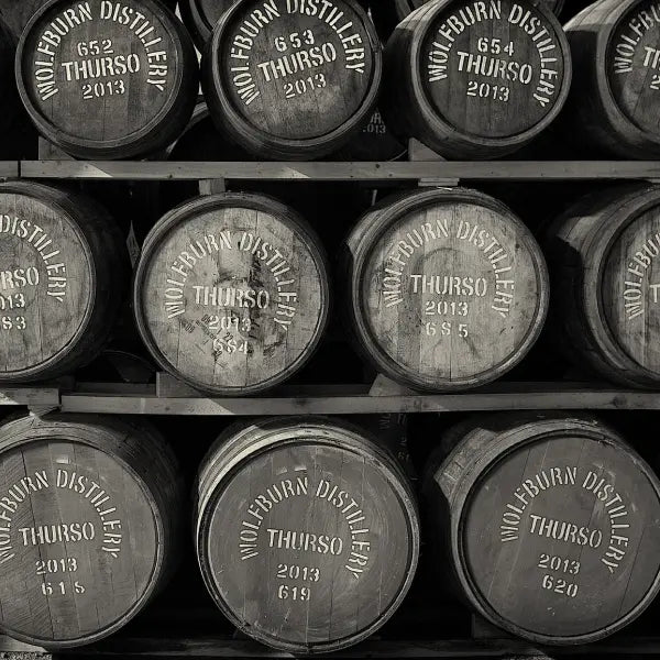 gid://shopify/MediaImage/47015260356951