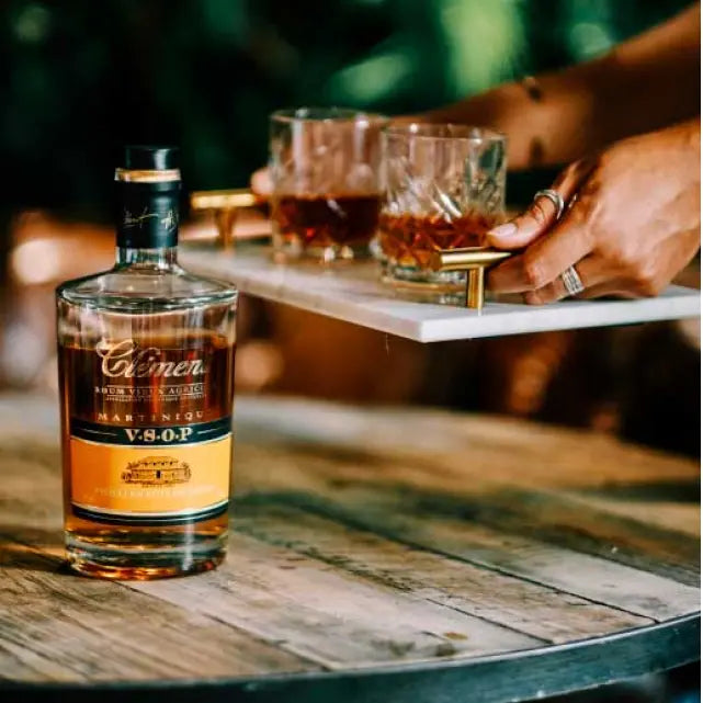 gid://shopify/MediaImage/51209371418967