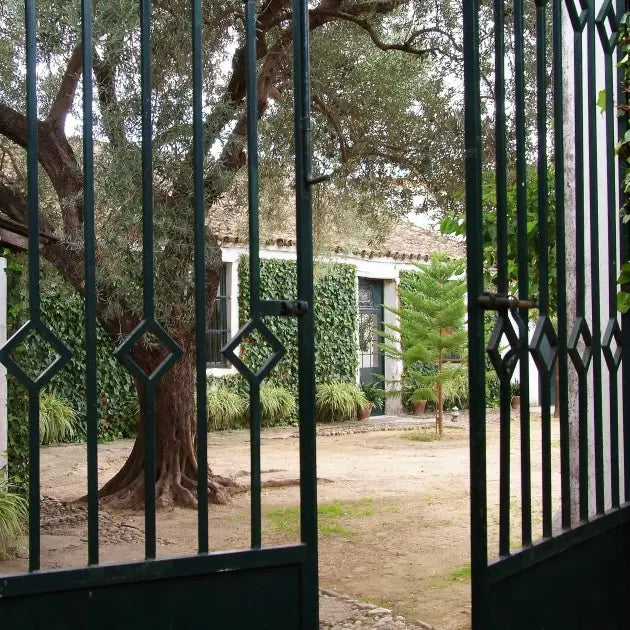 gid://shopify/MediaImage/51015281639767