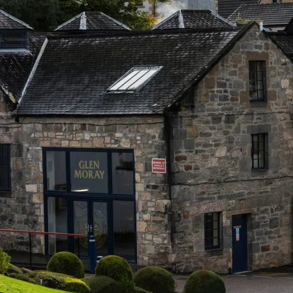 gid://shopify/MediaImage/53265947558231