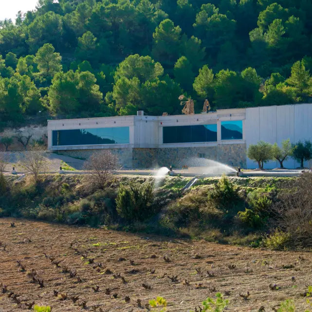 gid://shopify/MediaImage/51092160086359