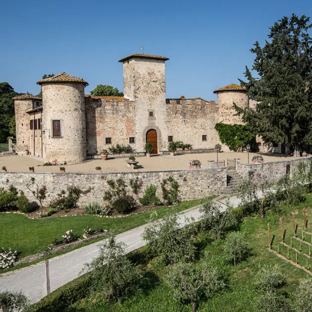 gid://shopify/MediaImage/50840336925015