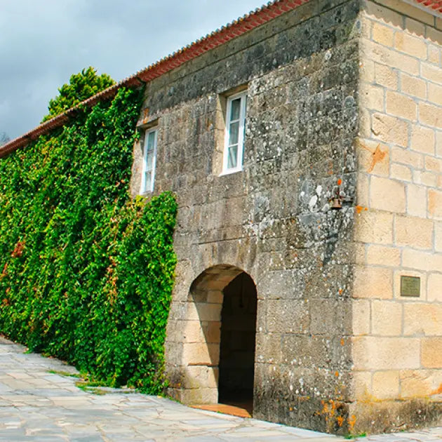 gid://shopify/MediaImage/50831186657623