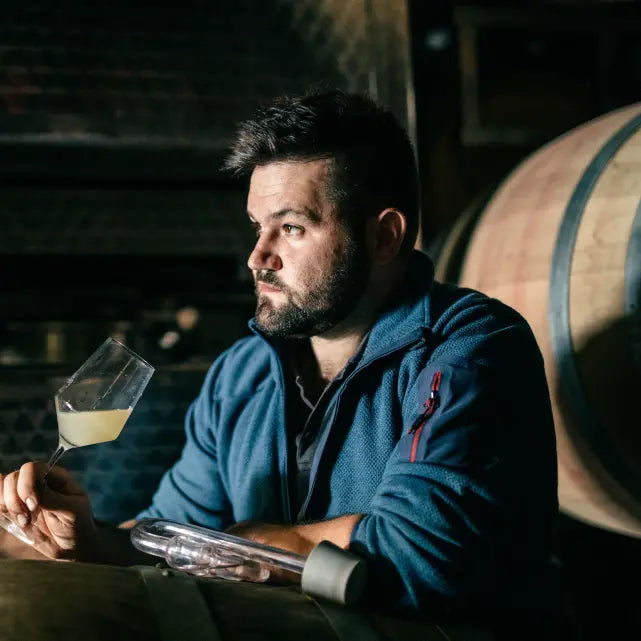 gid://shopify/MediaImage/51016372289879