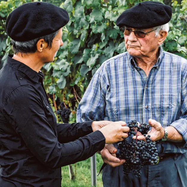 gid://shopify/MediaImage/50972972581207