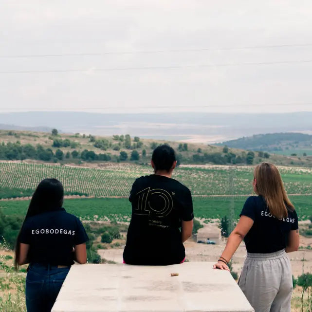 gid://shopify/MediaImage/51092160119127