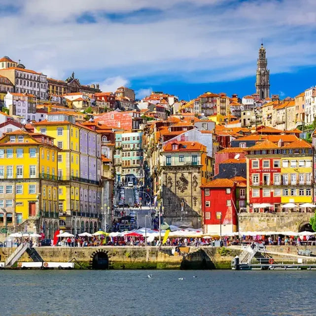 gid://shopify/MediaImage/51005951410519