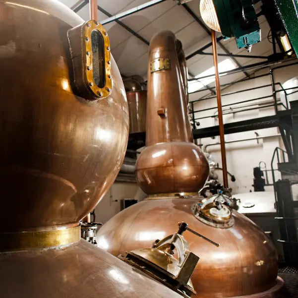 gid://shopify/MediaImage/46939612807511