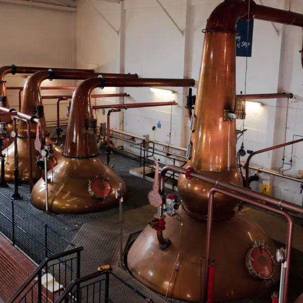 gid://shopify/MediaImage/46997155971415