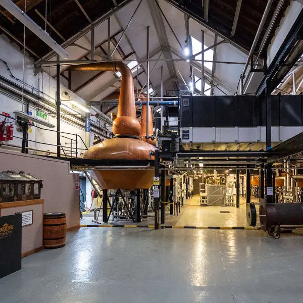 gid://shopify/MediaImage/47014471008599