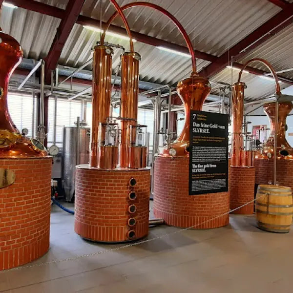 gid://shopify/MediaImage/46980899373399