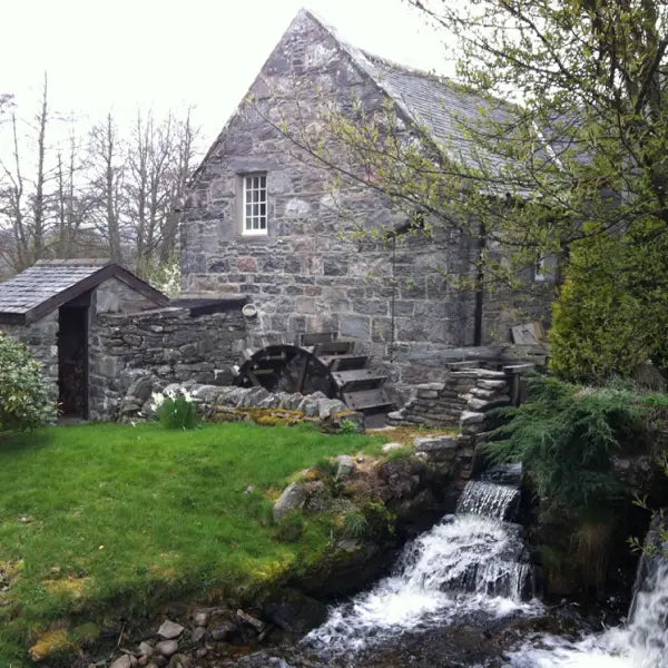 gid://shopify/MediaImage/46993914691927