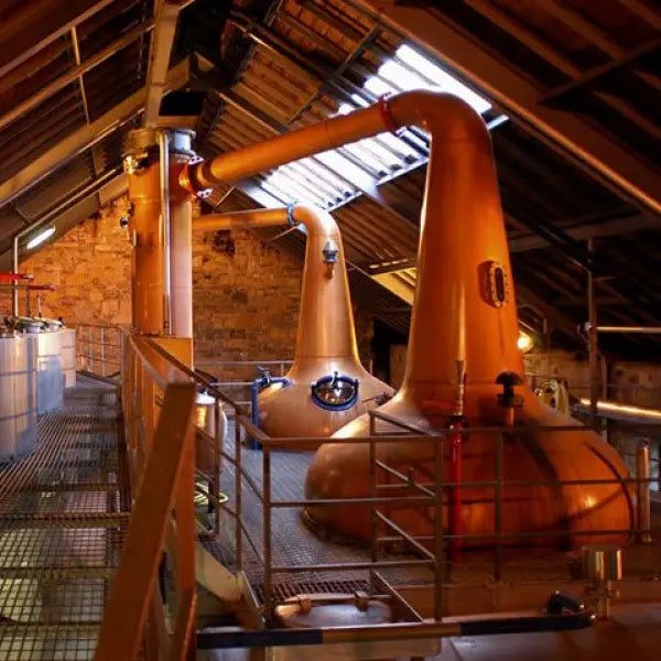 gid://shopify/MediaImage/46993916985687