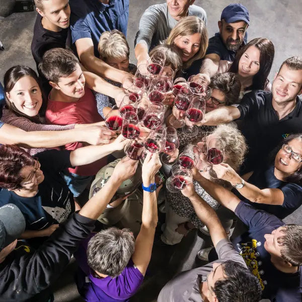 gid://shopify/MediaImage/49397795357015