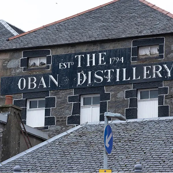 gid://shopify/MediaImage/46923418566999