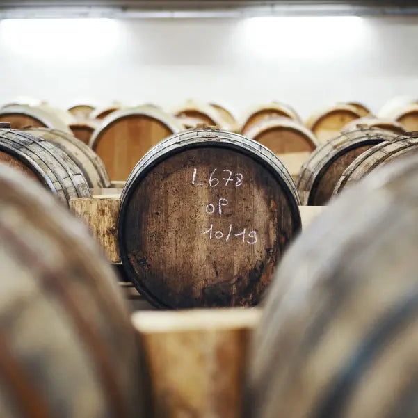 gid://shopify/MediaImage/46992968745303